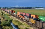 BNSF 7337/BNSF 776/UP 7165 leading an empty unit coal train north through Fisher Siding before turning E/B towards their Mud Bay Crossing and south through Washington state.